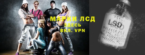 дживик Бородино