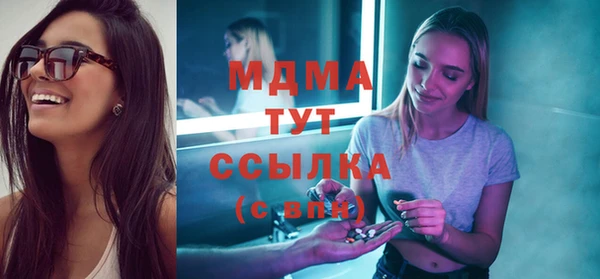 дживик Бородино