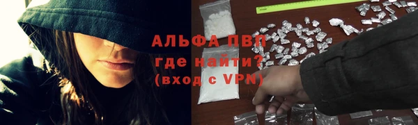 дживик Бородино