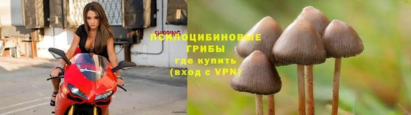 дживик Бородино