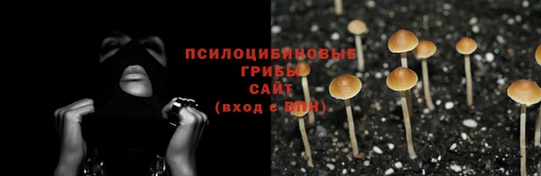дживик Бородино