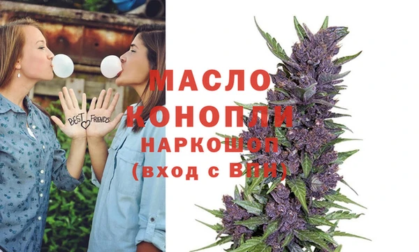 дживик Бородино