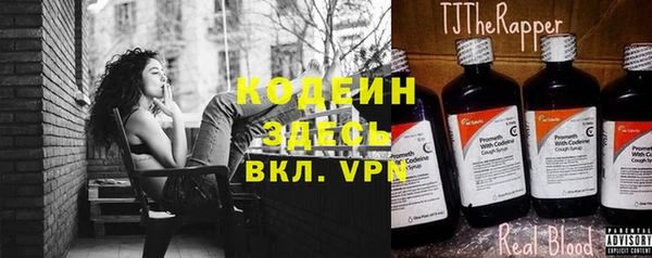 дживик Бородино
