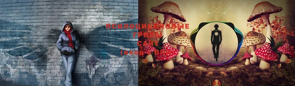 дживик Бородино