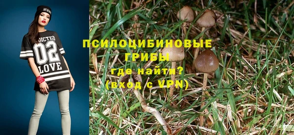 spice Бронницы