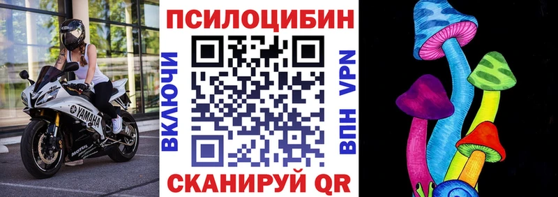 Псилоцибиновые грибы Psilocybe  MEGA зеркало  Гремячинск  даркнет сайт 